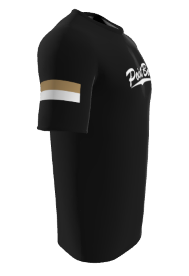 *POINT BORO PANTHERS - TRADITIONAL T-SHIRT * - TBJBST8