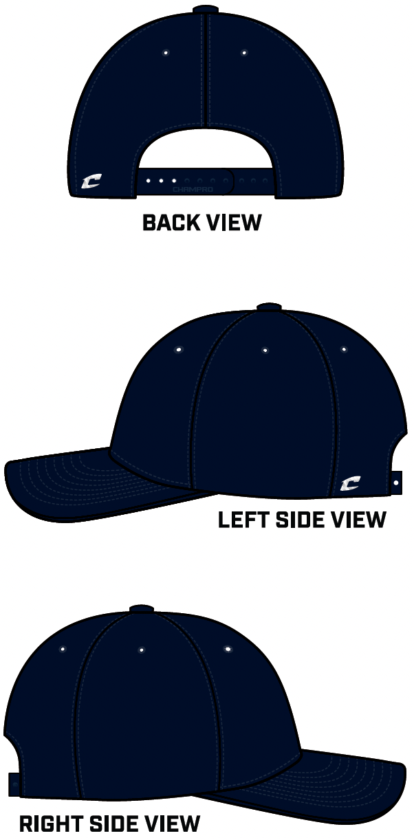 250 Years America - Snapback Hat - (Moberg 26')