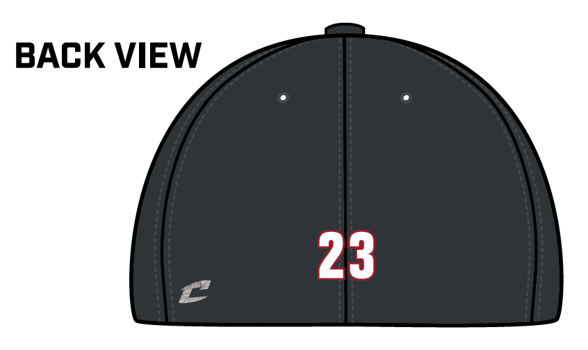 Travel Hat- Coach Schweizer/Lizardi Teams - Graphite