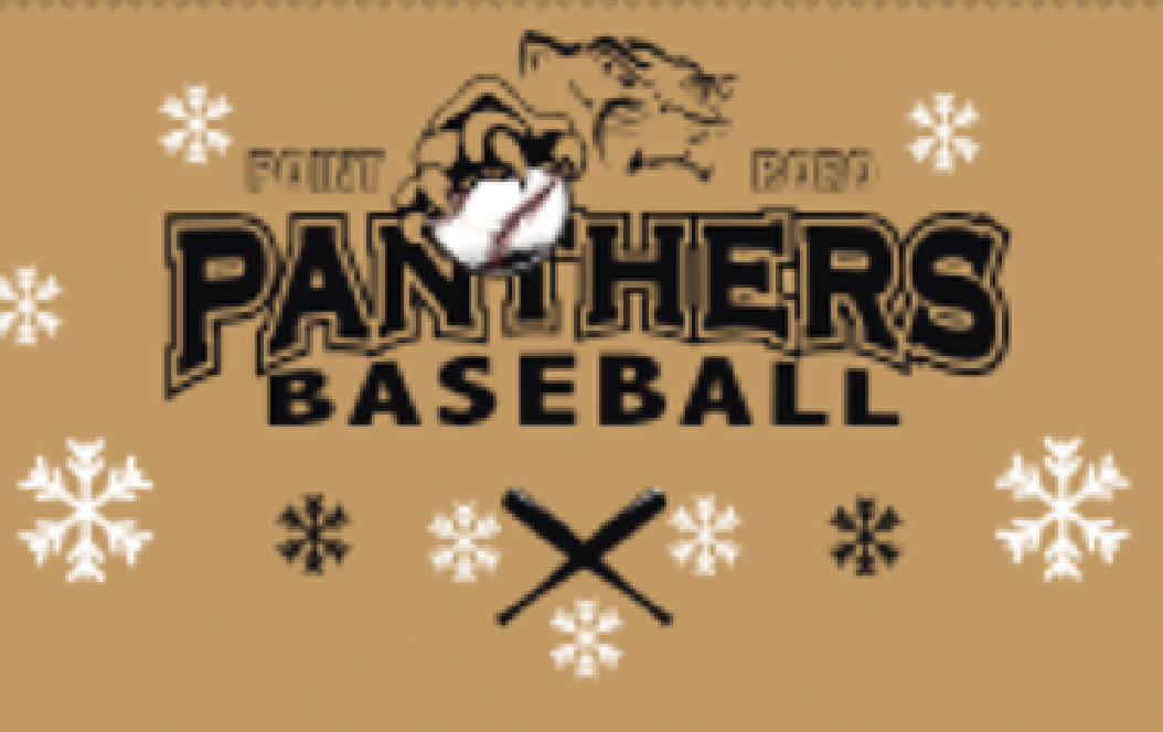 Point Boro Panthers- Fleece UGLY Hoodie