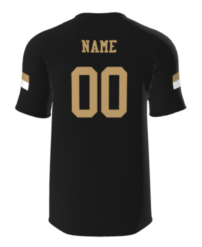 *POINT BORO PANTHERS - TRADITIONAL T-SHIRT * - TBJBST8