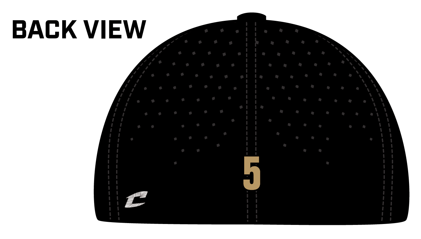 Point Boro Panthers Hat
